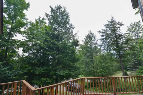 64 Birch Lane Ludlow VT 05149