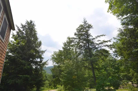 64 Birch Lane Ludlow VT 05149
