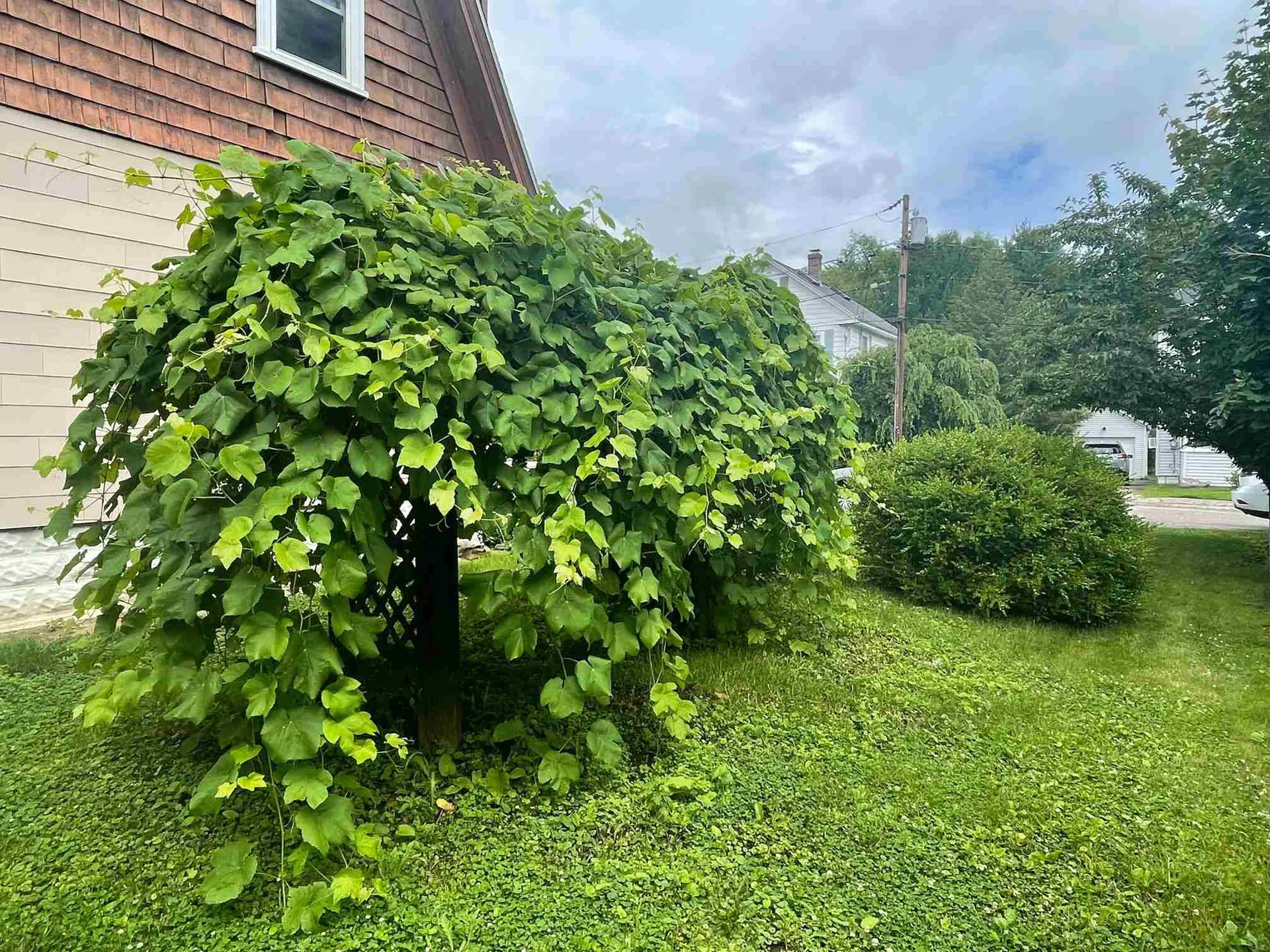 5 Coolidge Avenue Dover NH 03820