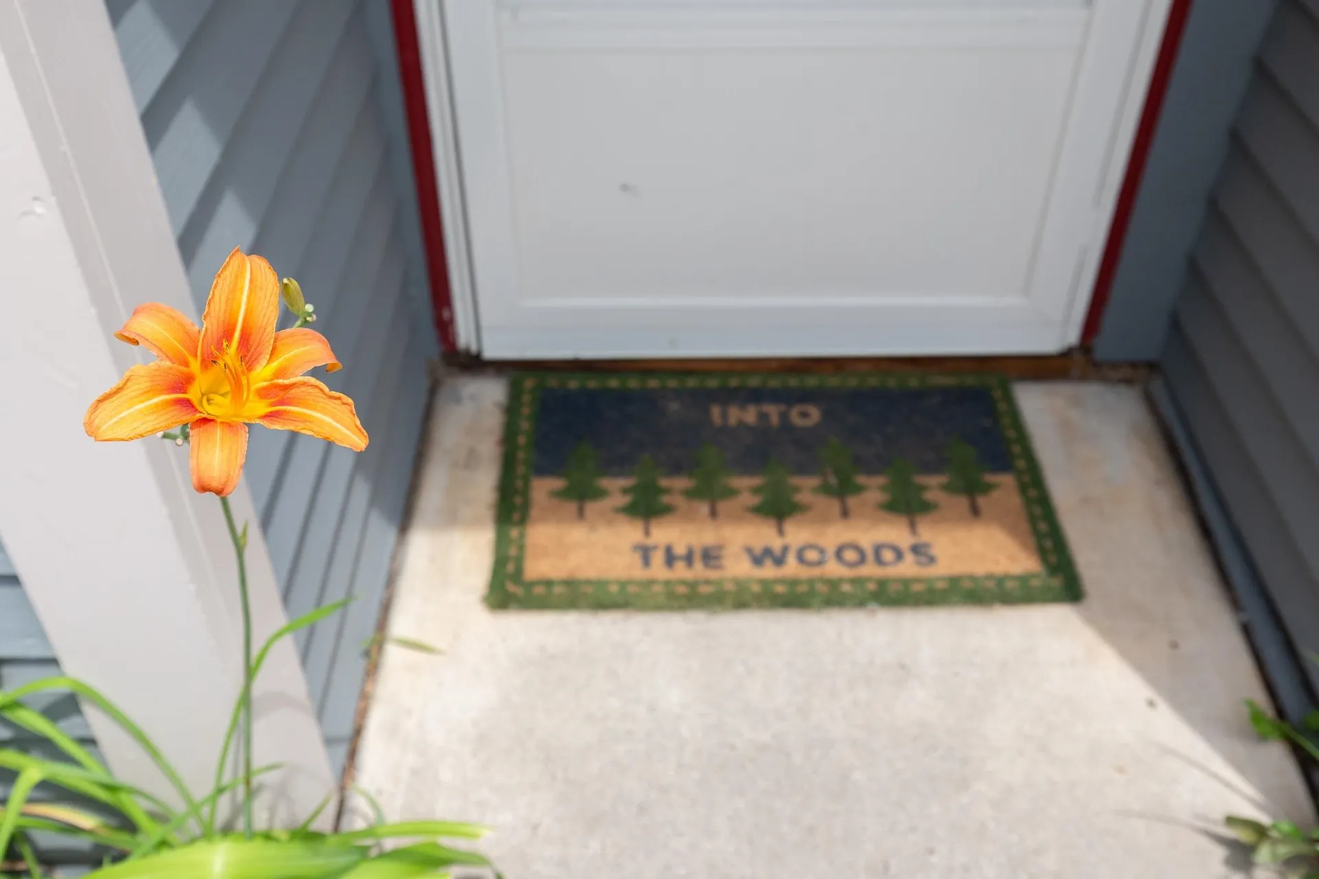 11 Conifer Court Burlington VT 05401