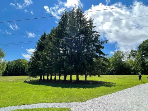 693 Eureka Road Springfield VT 05156