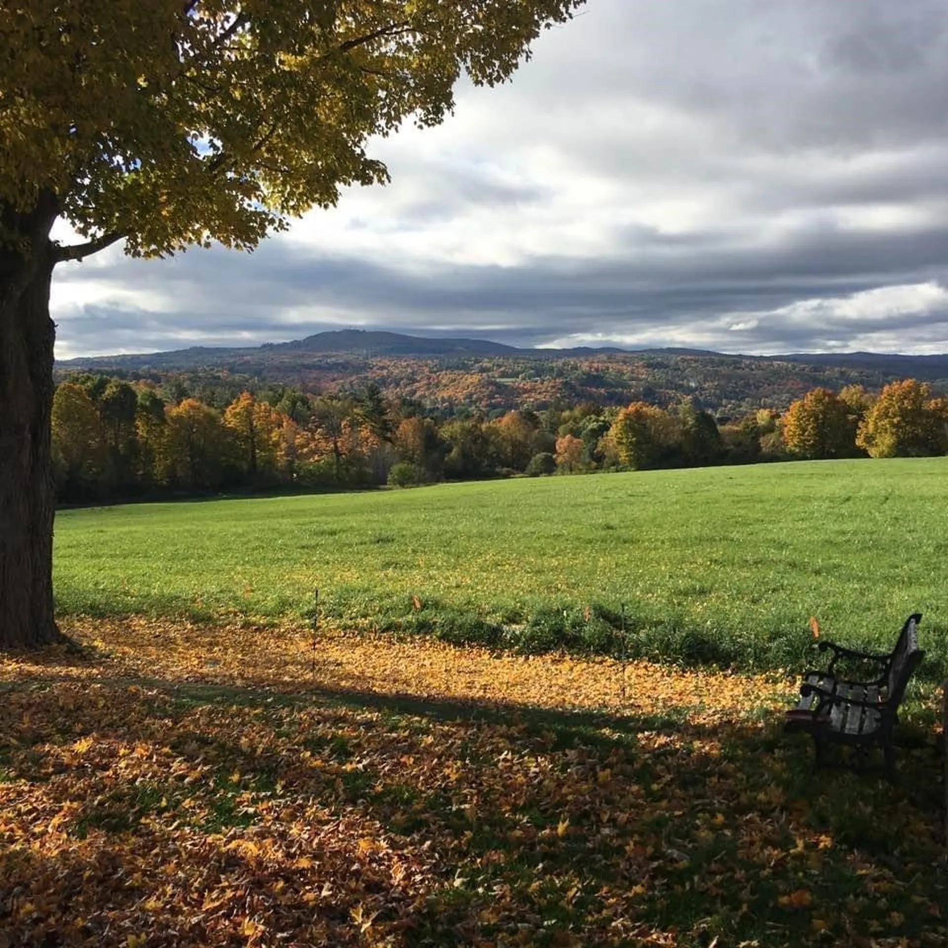 16 Hillcrest Lane Barre Town VT 05641