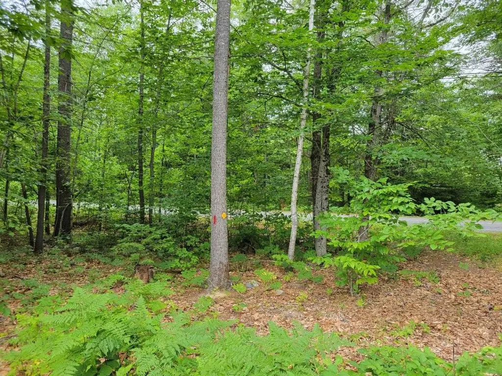 152 Elm Street Ossipee NH 03864