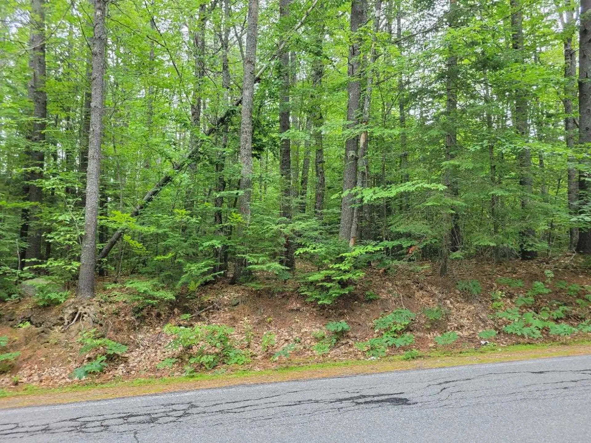 152 Elm Street Ossipee NH 03864