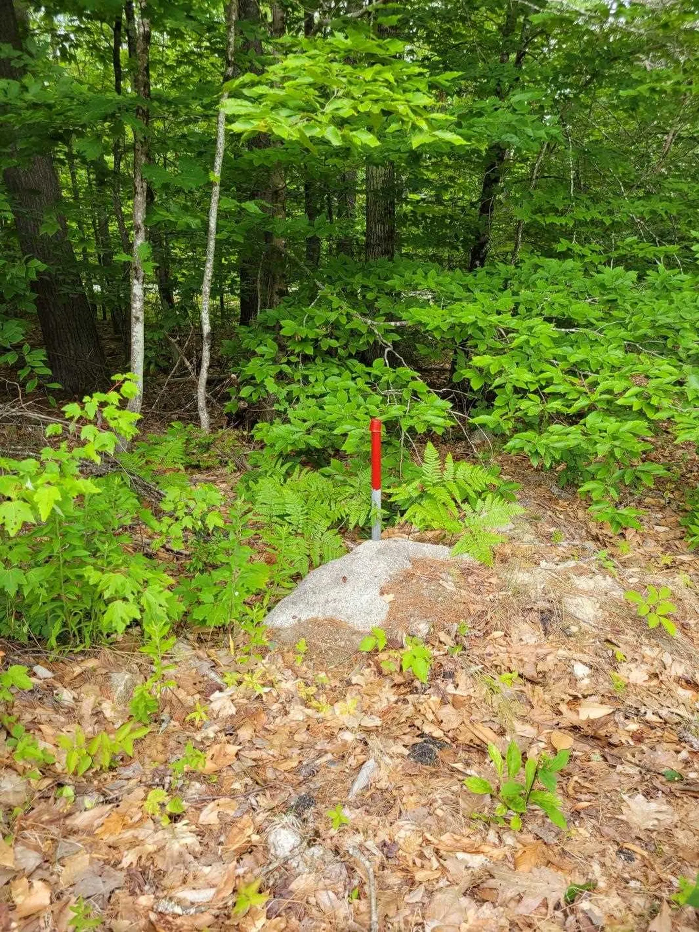 152 Elm Street Ossipee NH 03864
