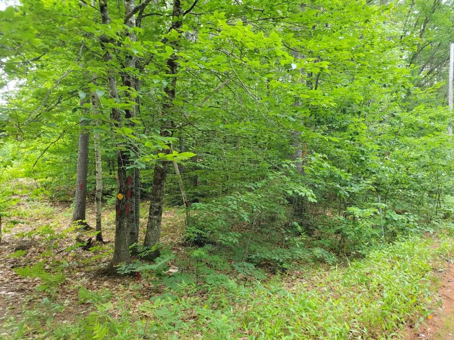 152 Elm Street Ossipee NH 03864