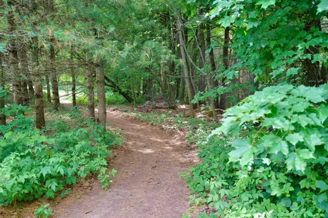 18 Maple Run Lane Stowe VT 05672