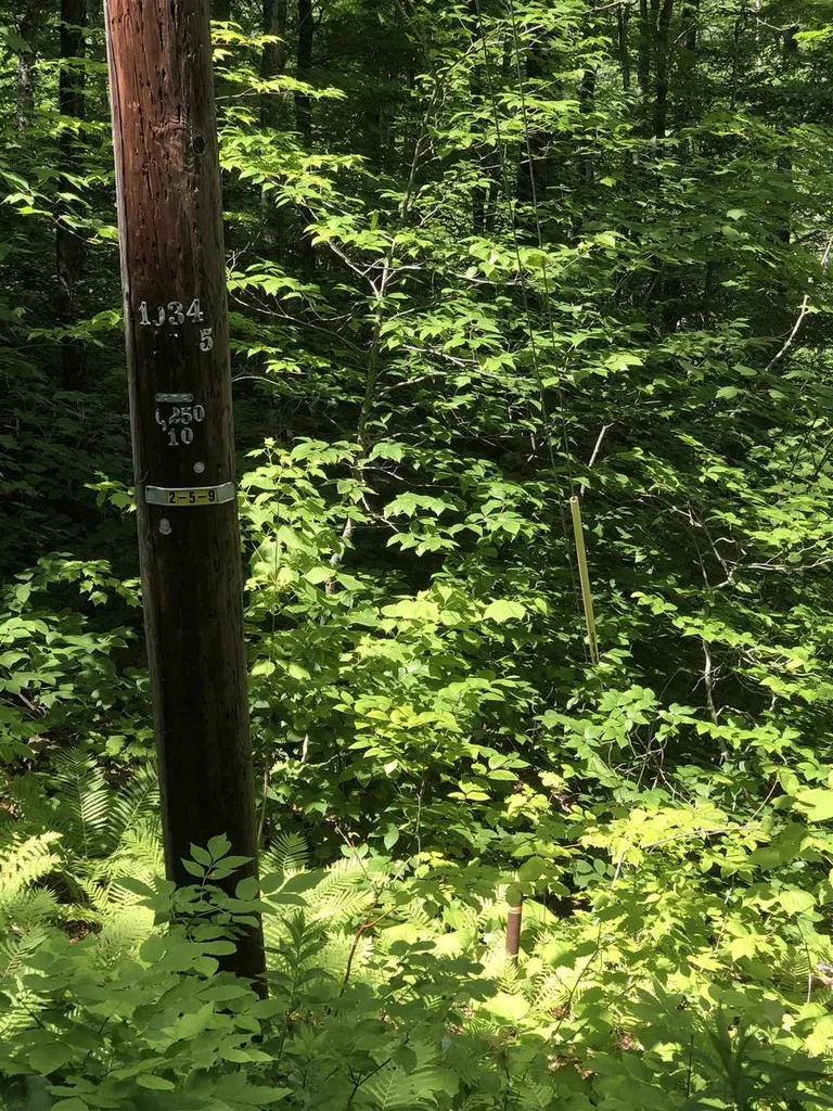 20 Windham Springs Road Windham VT 05359