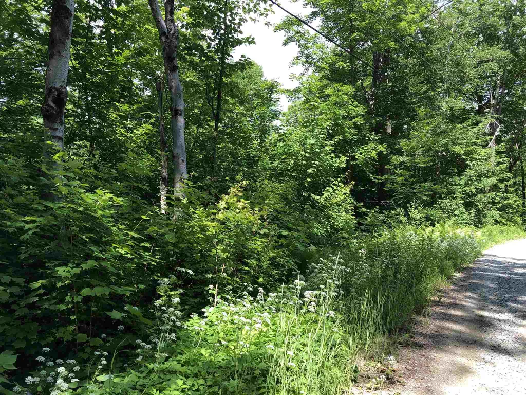 20 Windham Springs Road Windham VT 05359