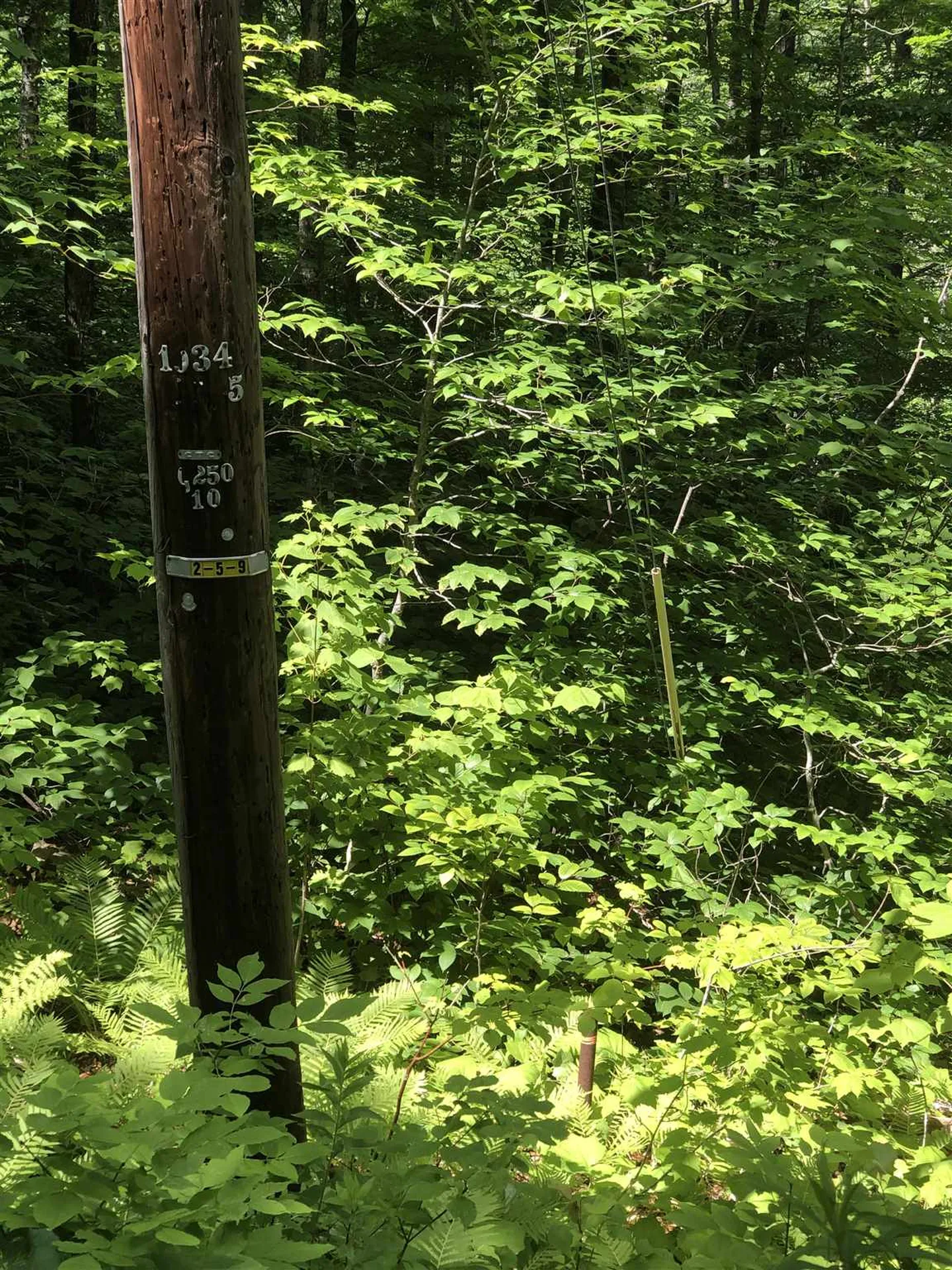 20 Windham Springs Road Windham VT 05359
