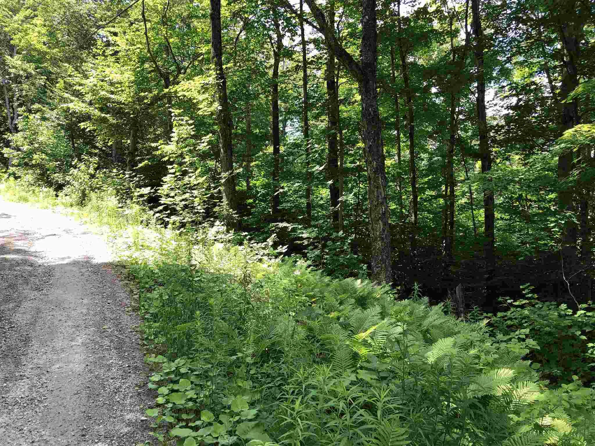 20 Windham Springs Road Windham VT 05359