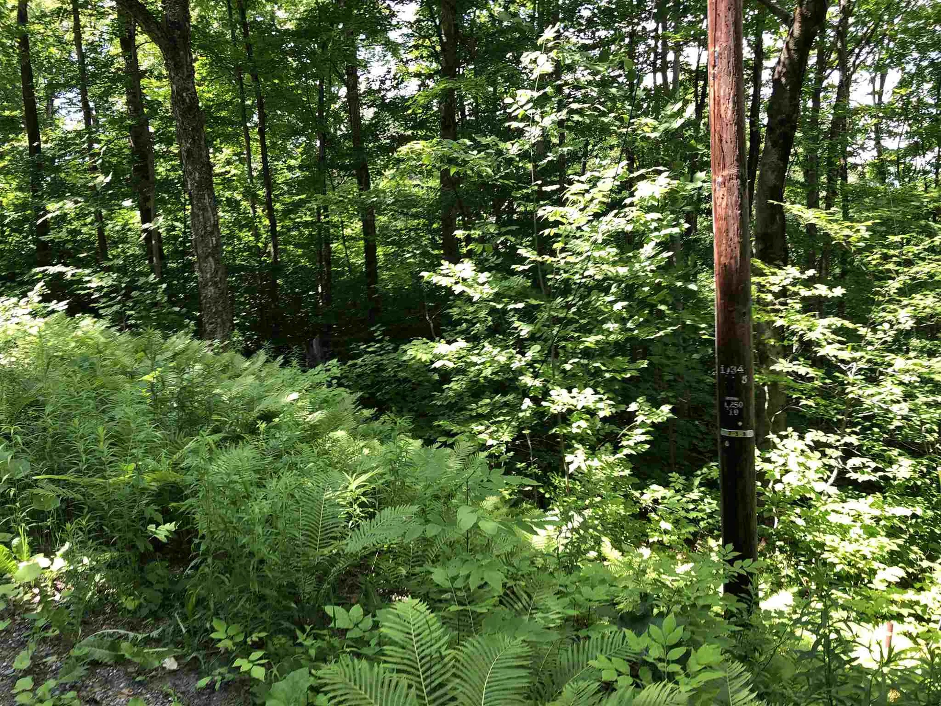 20 Windham Springs Road Windham VT 05359