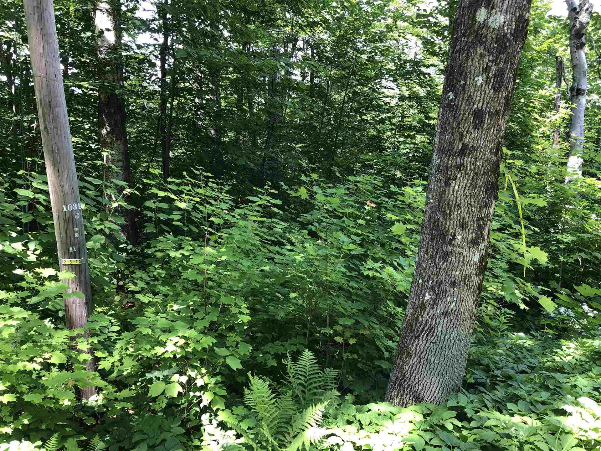 20 Windham Springs Road Windham VT 05359