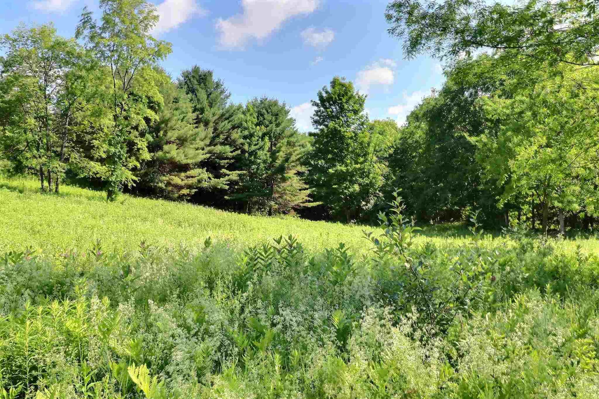 00 Elm Street Claremont NH 03743