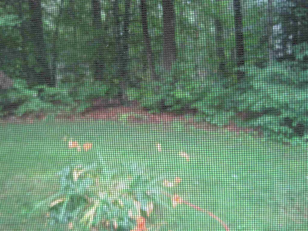 11 Granger Drive Lee NH 03861