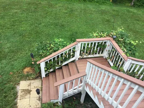 57 Arrowcrest Drive Swanzey NH 03446