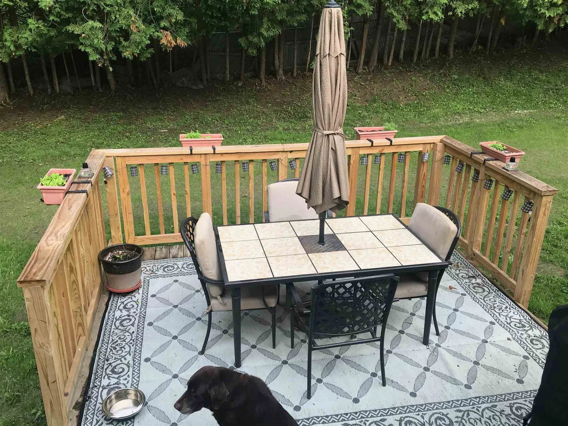 68 Cassie Street Barre Town VT 05641