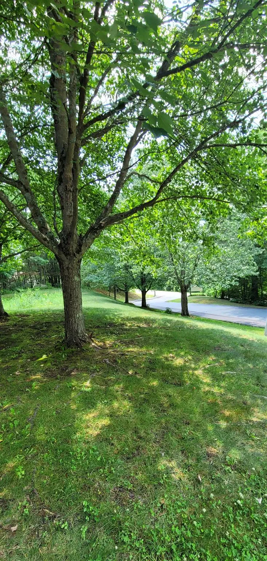 30 Wolf Road Lebanon NH 03766