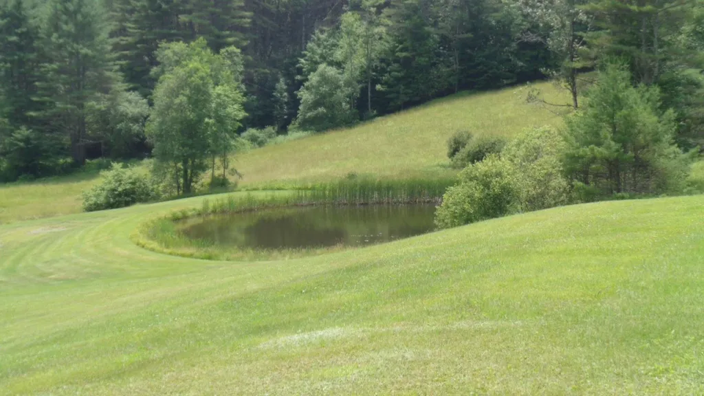 425 Vt Route 110 Tunbridge VT 05077