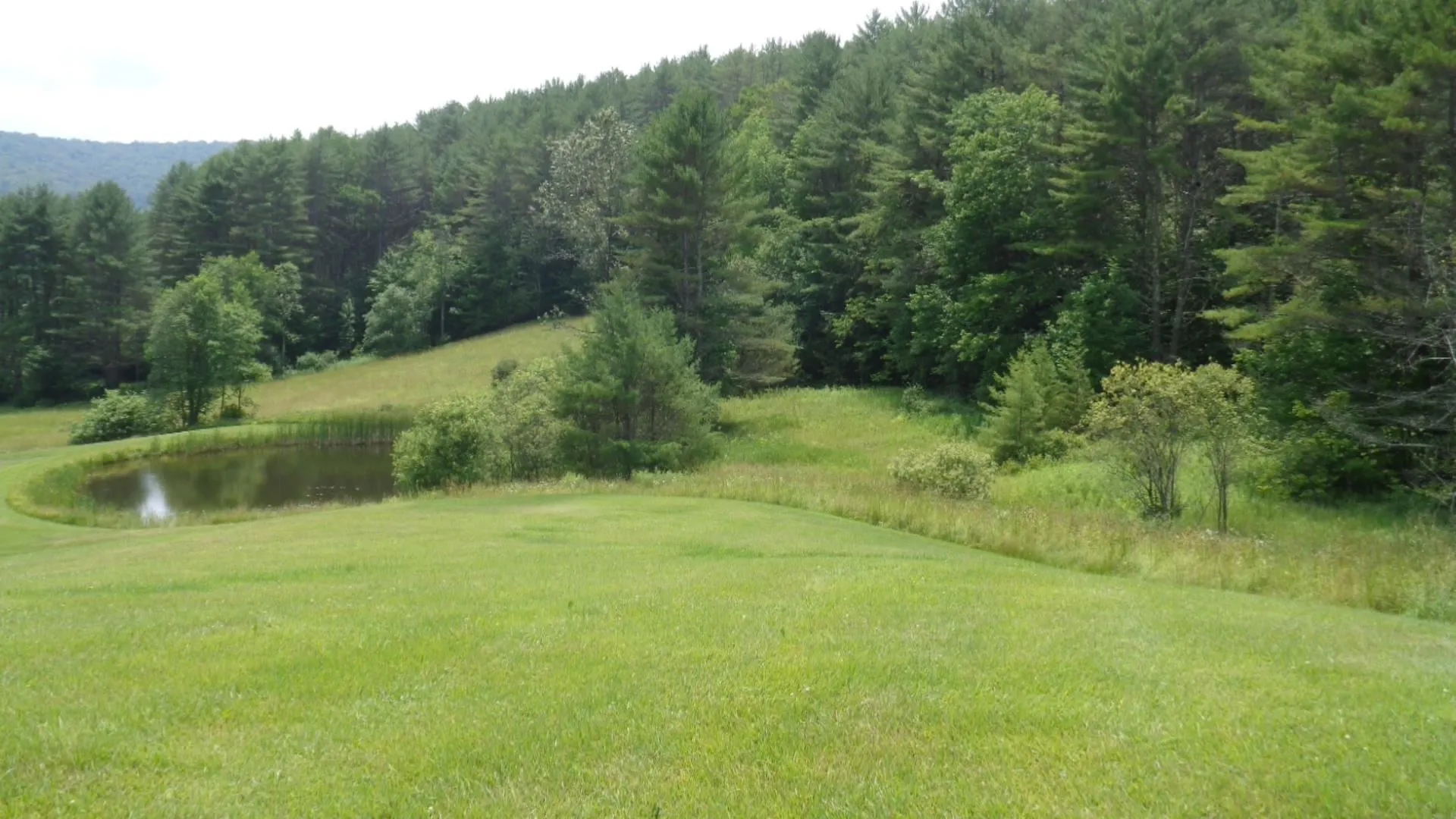 425 Vt Route 110 Tunbridge VT 05077