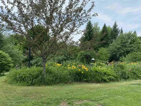 153 Orchard Farm Lane Hyde Park VT 05655