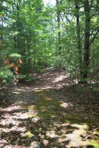 29 Great Pond Road Kingston NH 03848