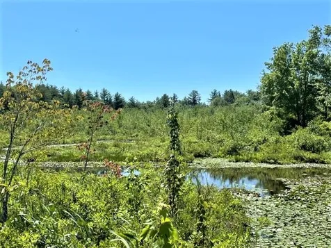 29 Great Pond Road Kingston NH 03848