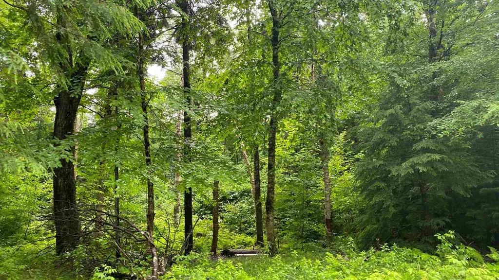 Lot 17 Village East Road Wilmington VT 05363
