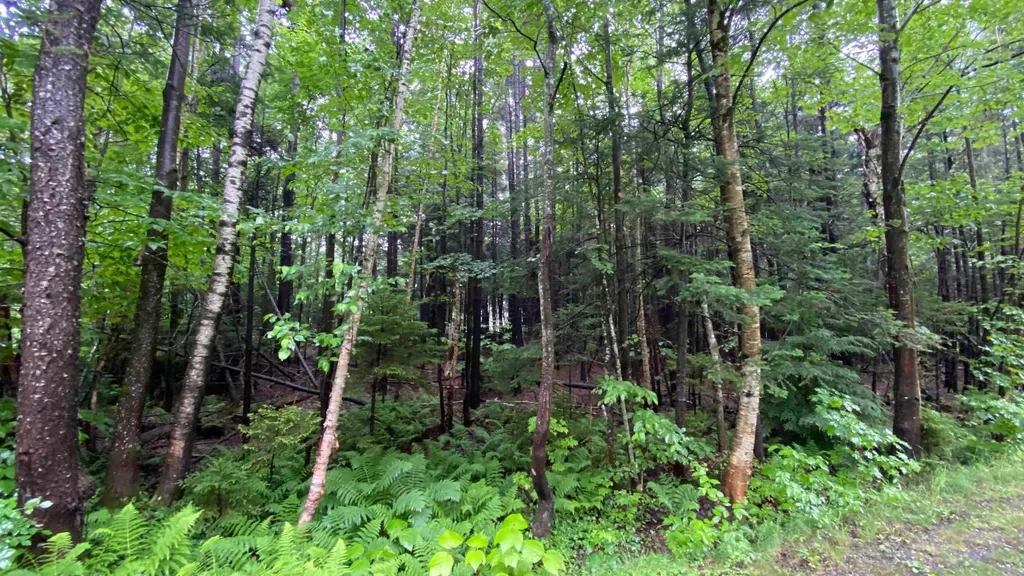 Lot 17 Village East Road Wilmington VT 05363