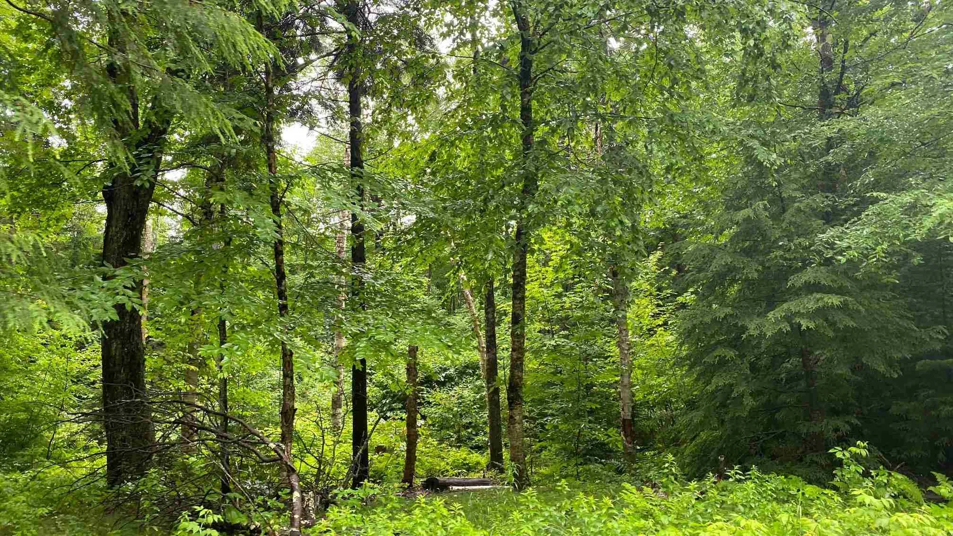 Lot 17 Village East Road Wilmington VT 05363