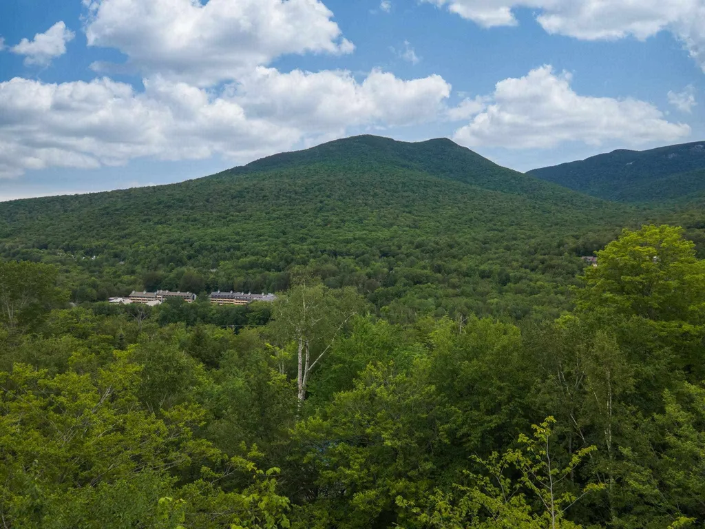16 Beechnut Drive Lincoln NH 03251