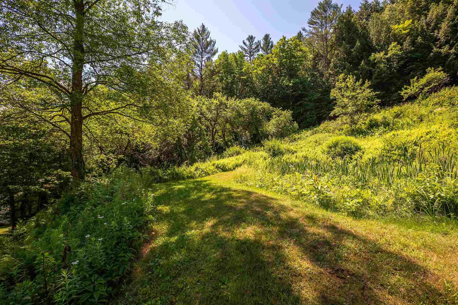 3376 Winhall Hollow Road Londonderry VT 05155