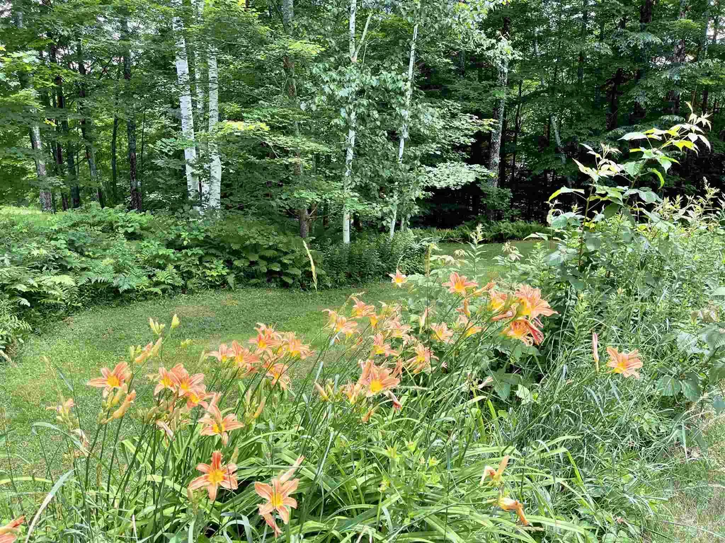 192 Birch Hill Road Bethel VT 05032