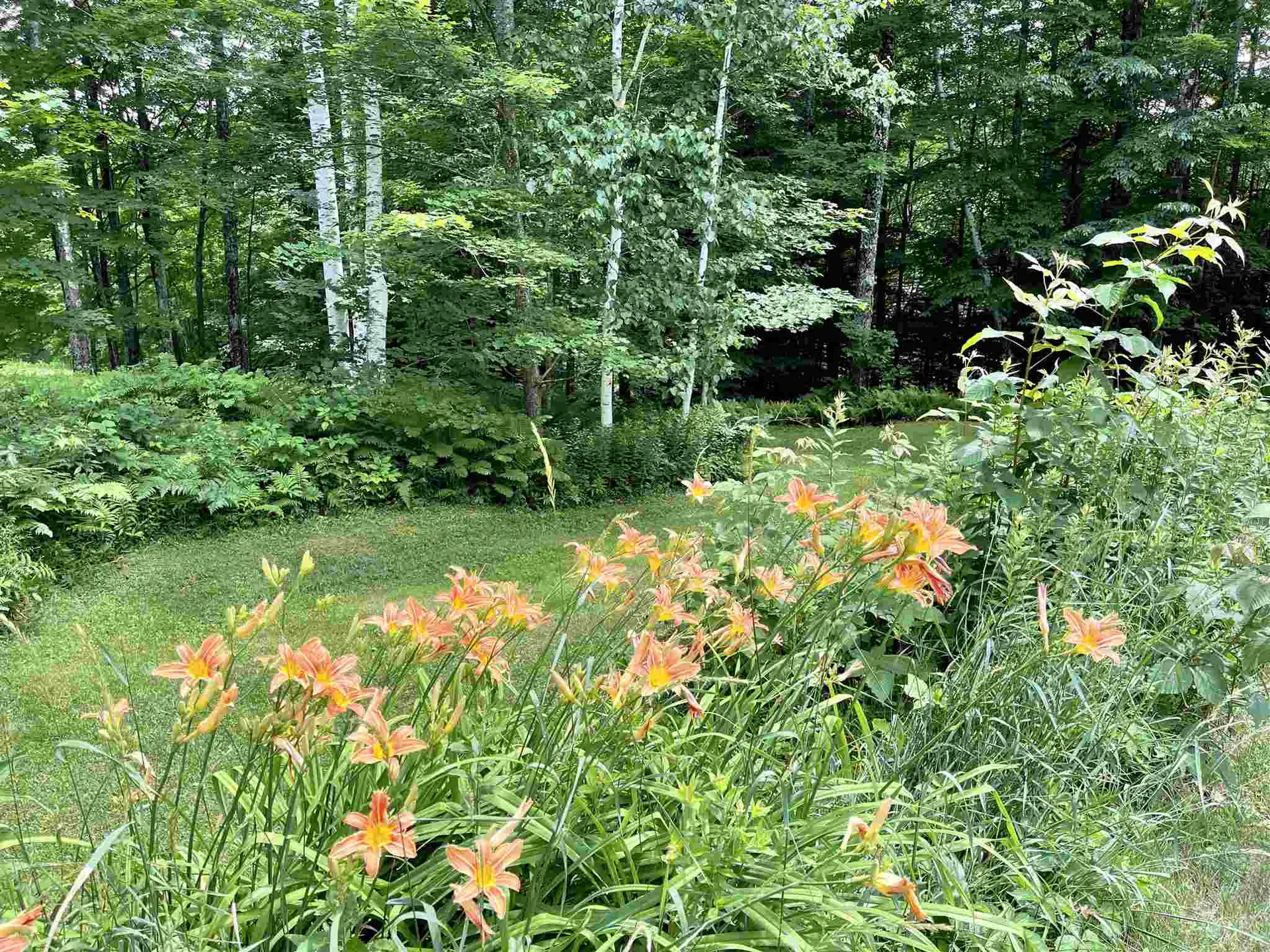 192 Birch Hill Road Bethel VT 05032