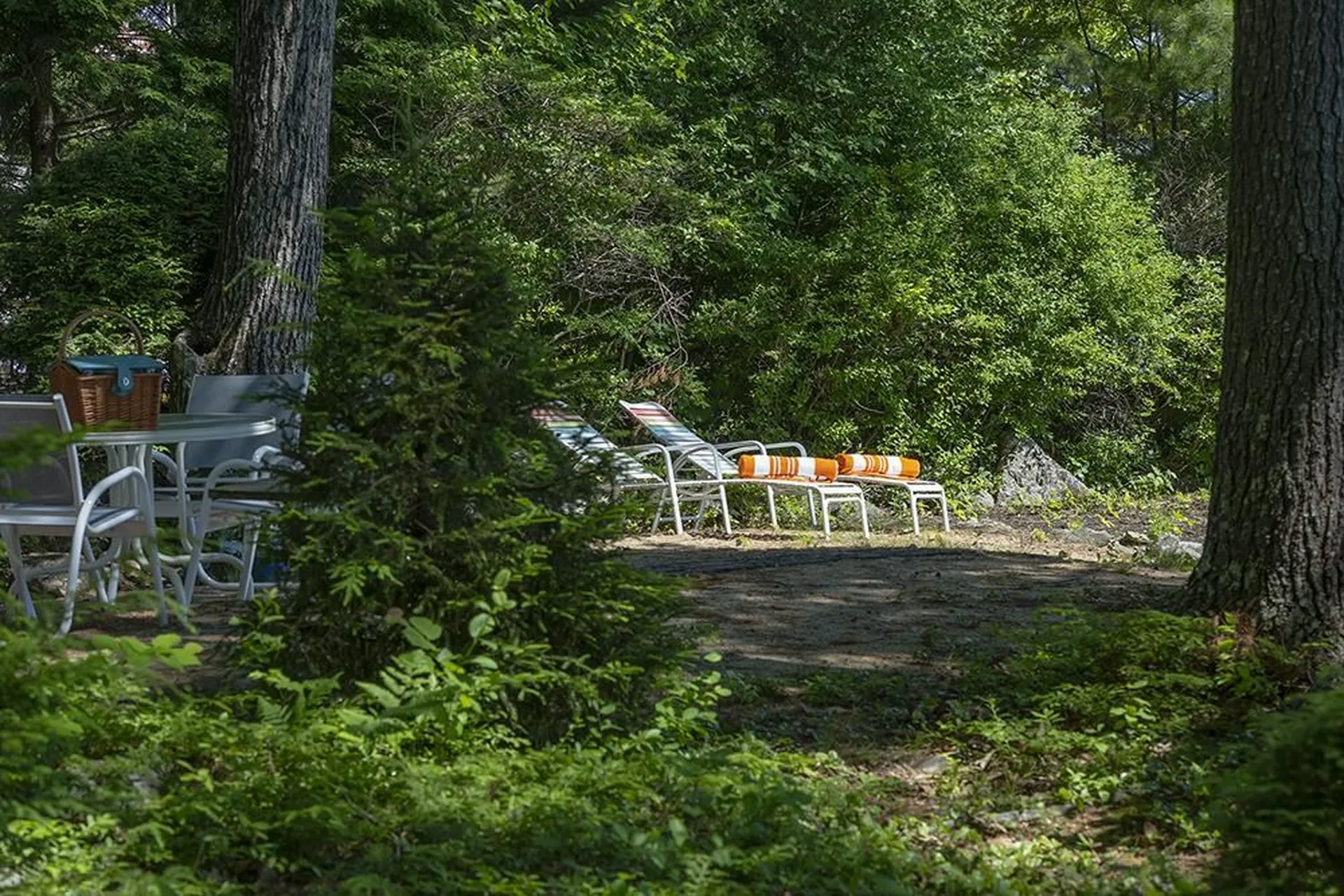 18 Pike Island Road Meredith NH 03253