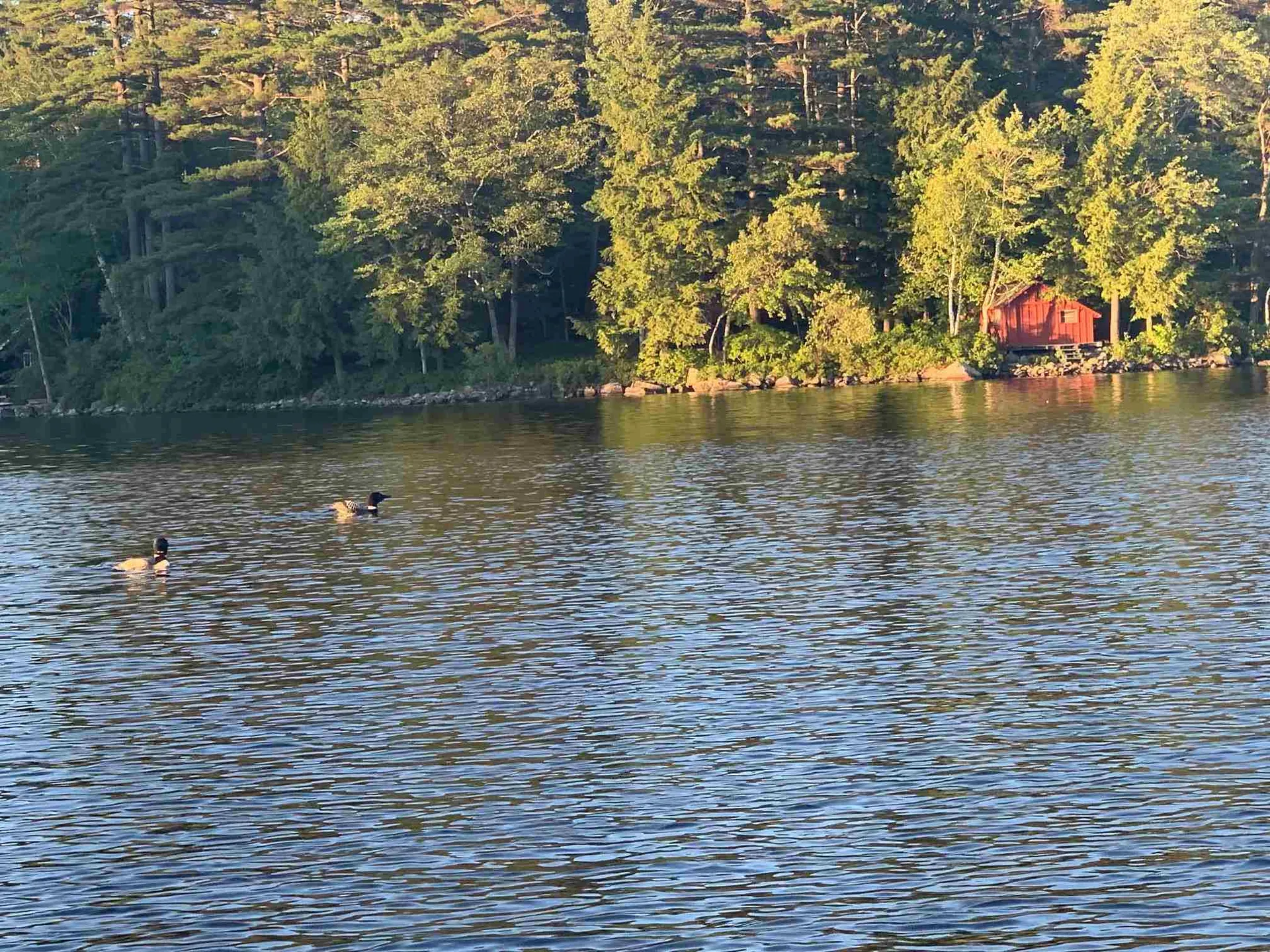 18 Pike Island Road Meredith NH 03253