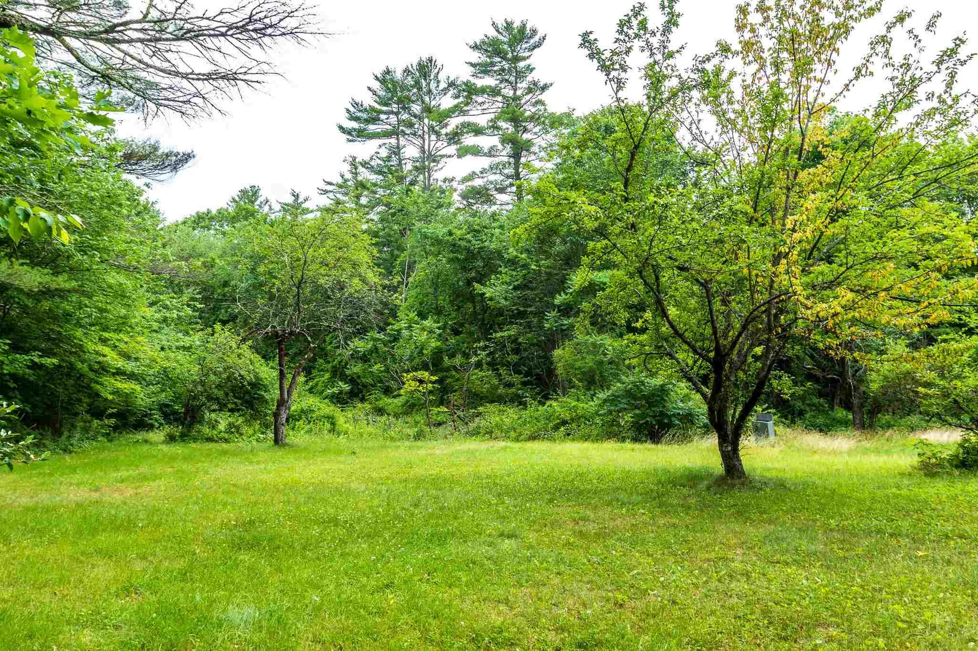 142 New Durham Road Alton NH 03809