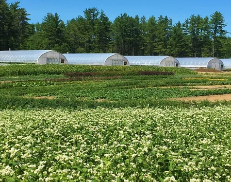 252 Middle Road Tuftonboro NH 03816