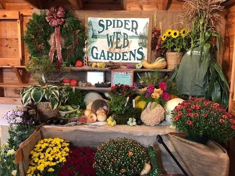 252 Middle Road Tuftonboro NH 03816