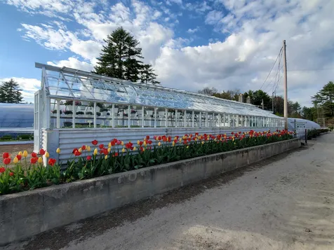 252 Middle Road Tuftonboro NH 03816