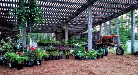 252 Middle Road Tuftonboro NH 03816