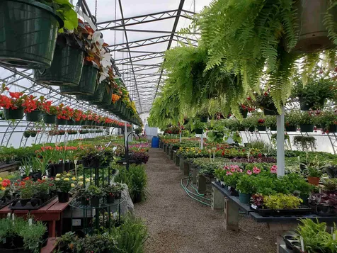 252 Middle Road Tuftonboro NH 03816