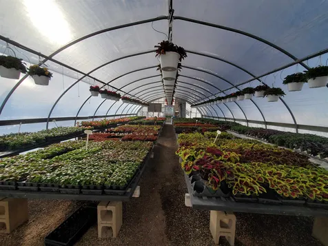 252 Middle Road Tuftonboro NH 03816