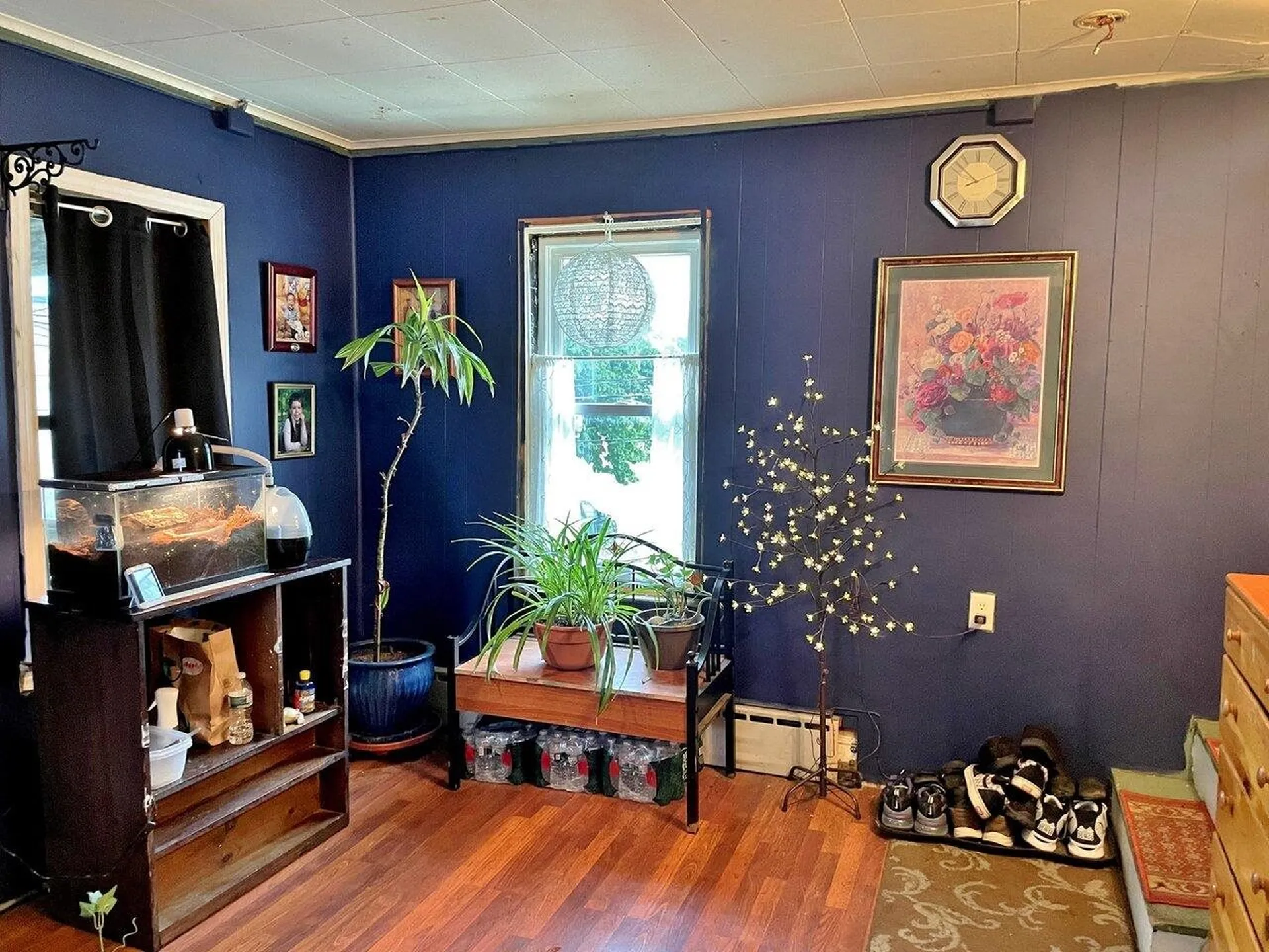 87 Saint Louis Street Burlington VT 05401
