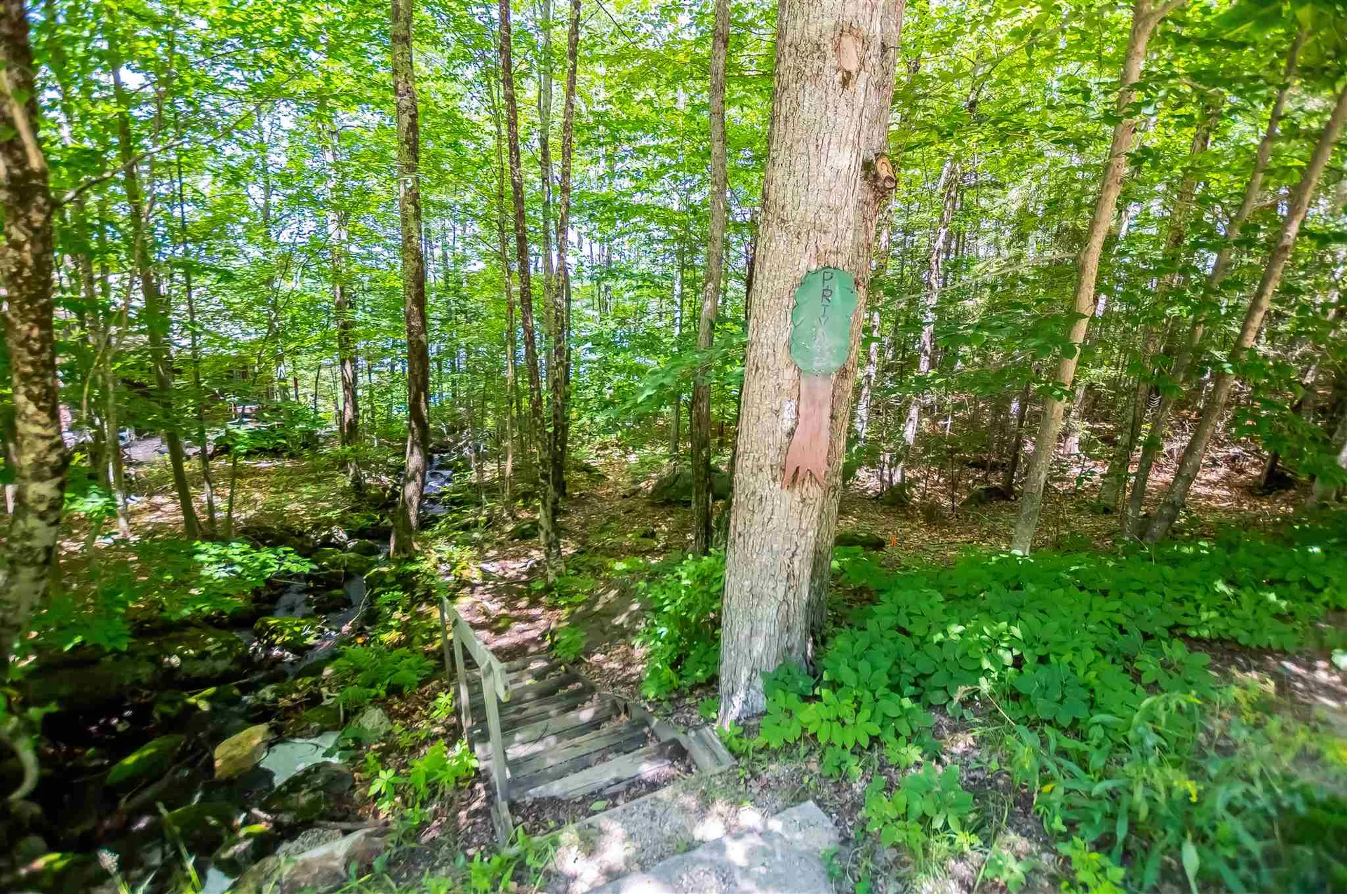 294 Forest Acres Road New London NH 03257