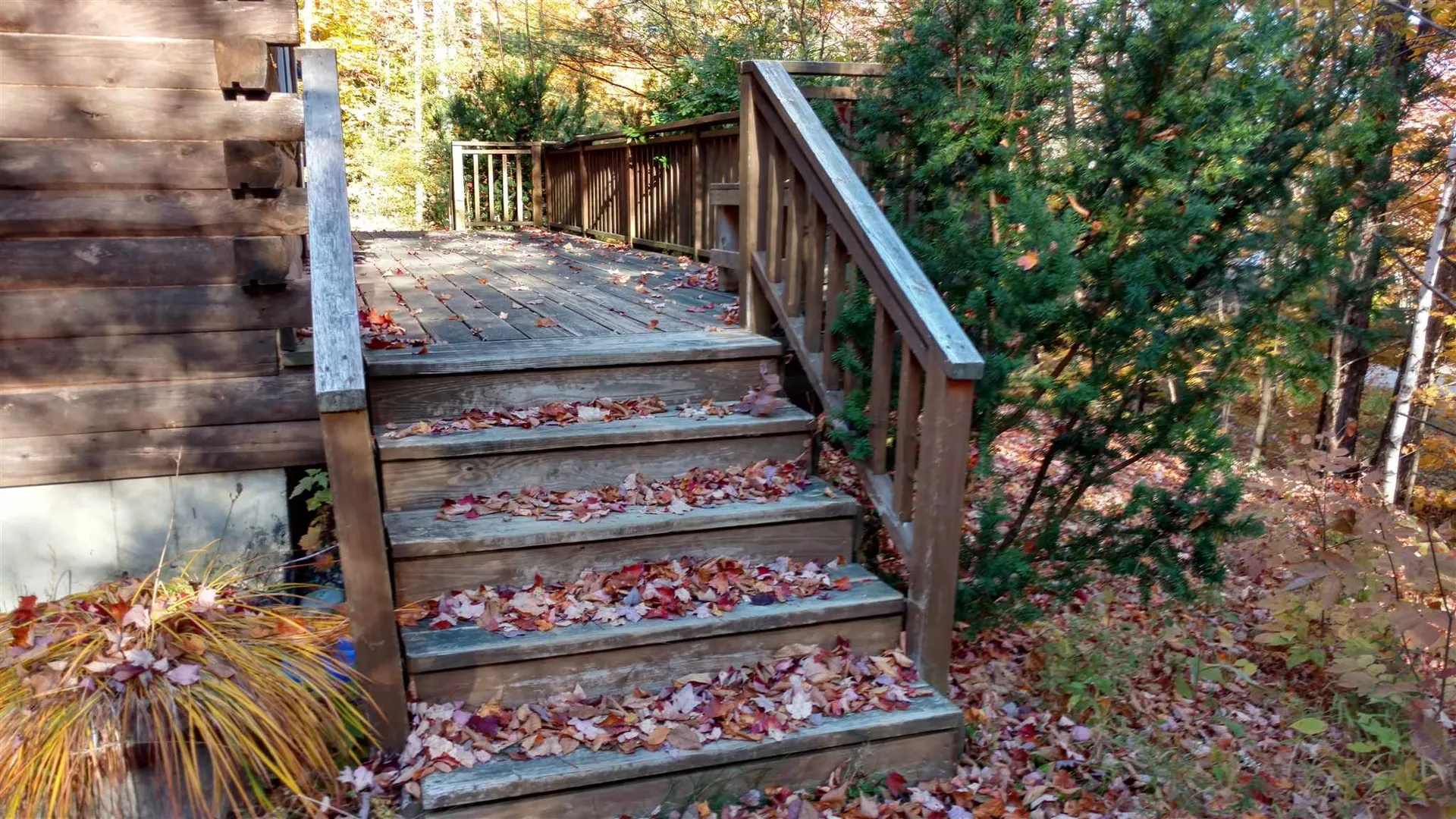 294 Forest Acres Road New London NH 03257