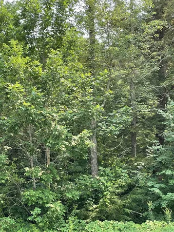 5 Lilac Ridge Road Windham NH 03087