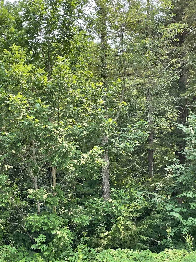 7 Lilac Ridge Road Windham NH 03087