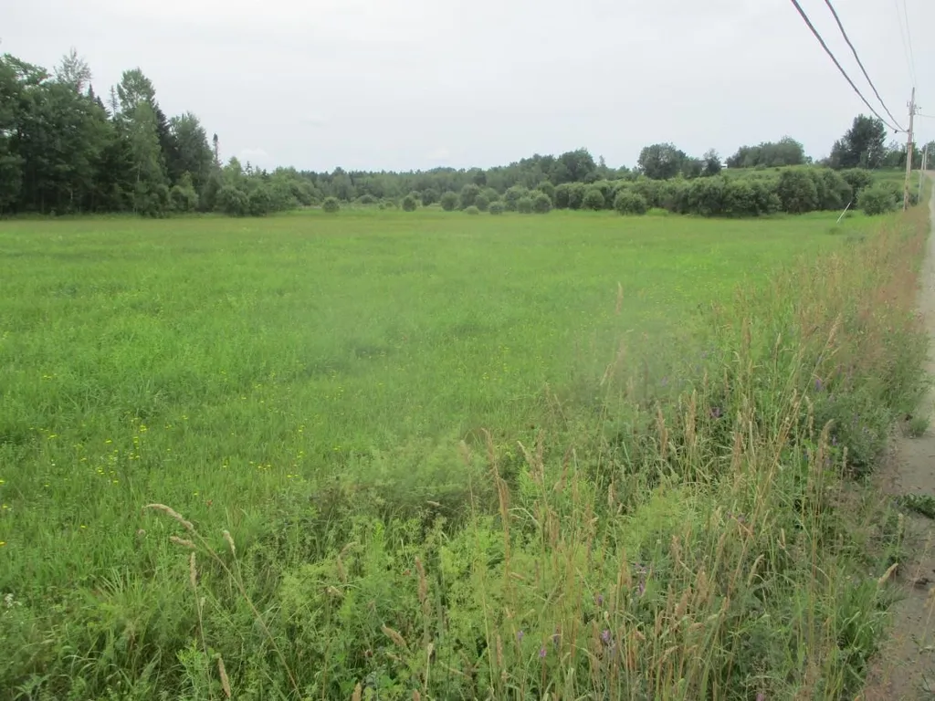 Lot 4 East Hill Road Wolcott VT 05680
