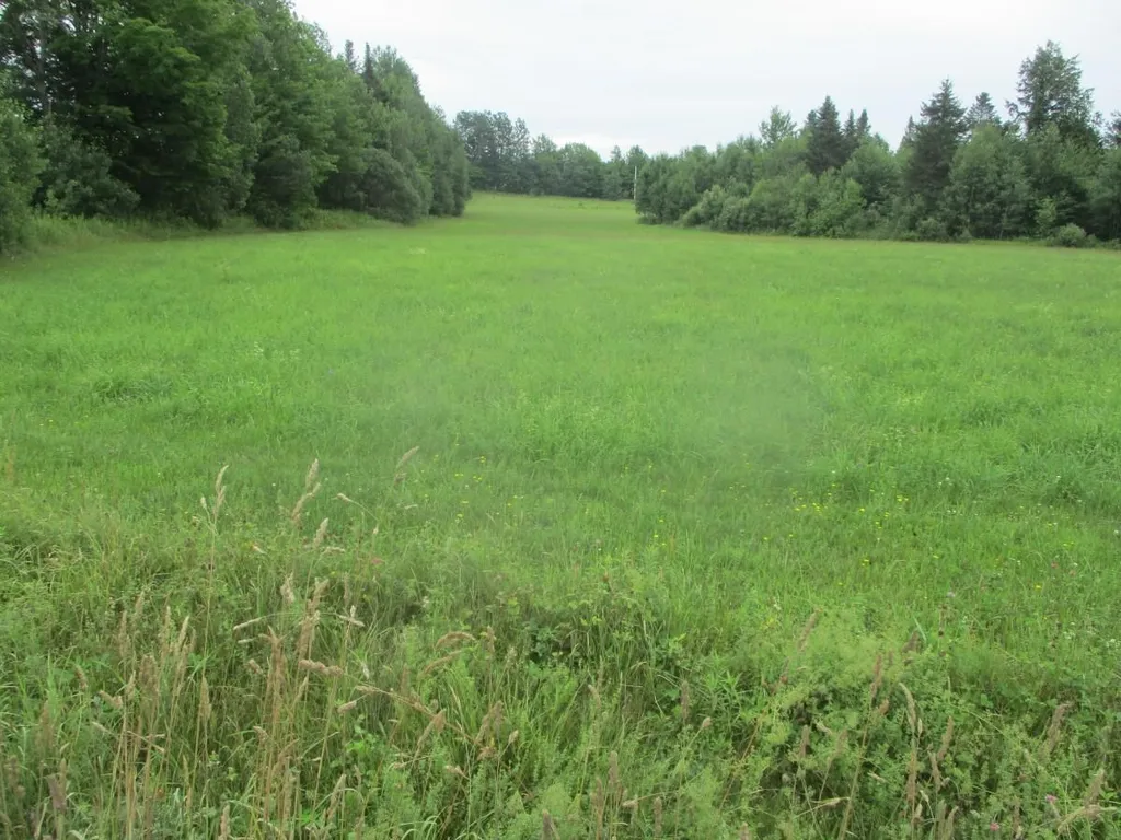 Lot 4 East Hill Road Wolcott VT 05680